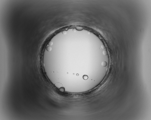 X0000100231263200805300718