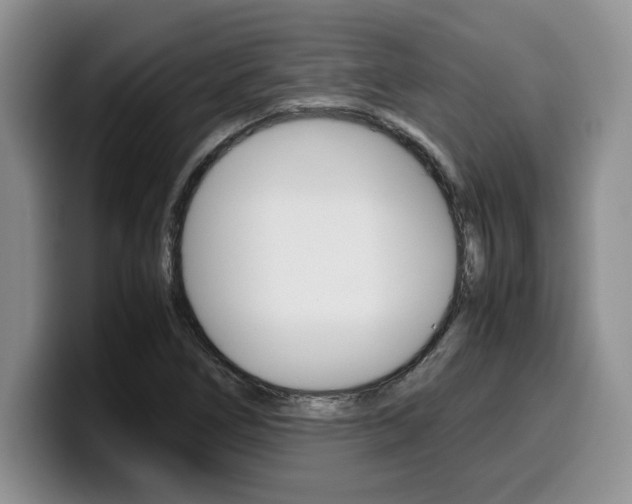 X0000100231266200805300718
