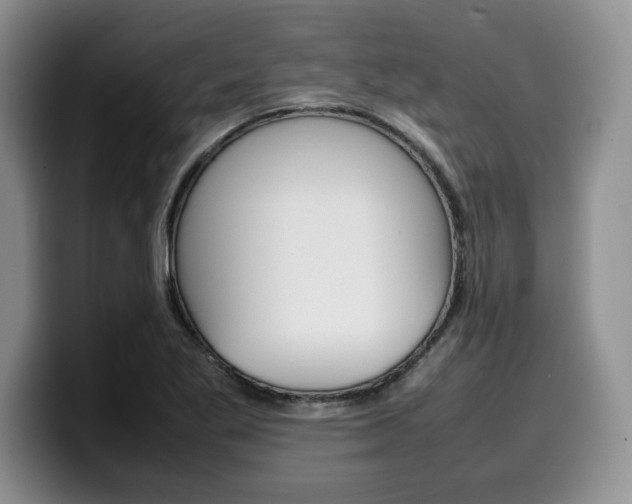 X0000100231269200805300718