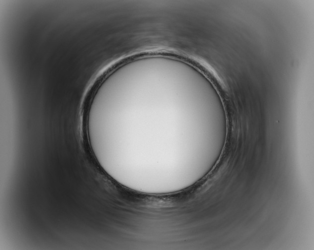 X0000100231270200805300718