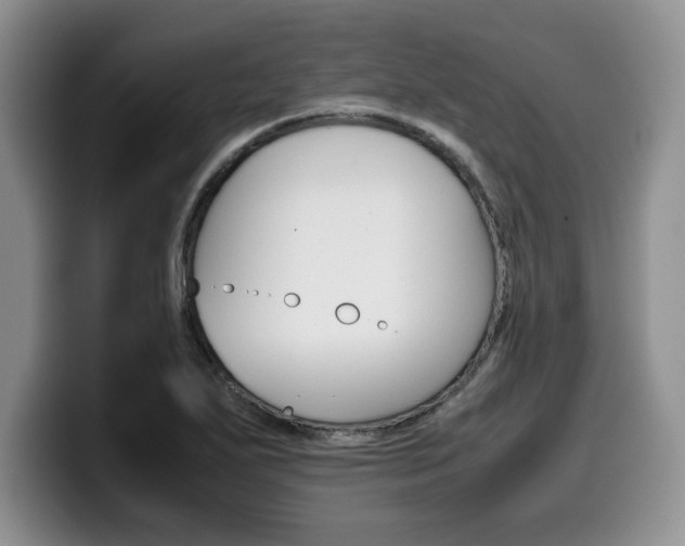 X0000100231271200805300718