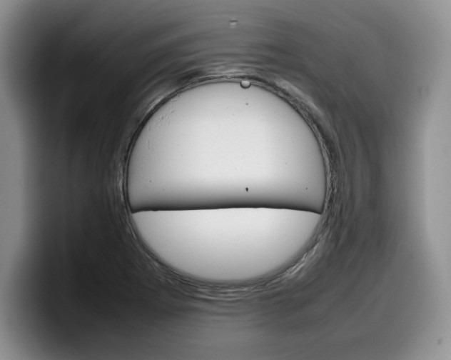 X0000100231273200805300718