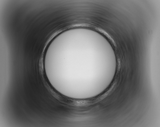X0000100231274200805300718