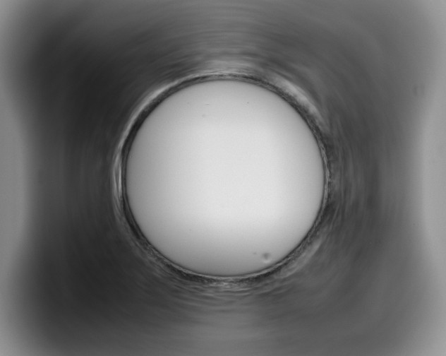 X0000100231275200805300718