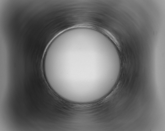 X0000100231276200805300718
