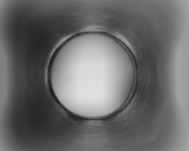 X0000100231277200805300718