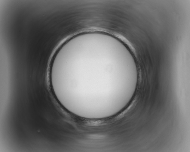 X0000100231278200805300718