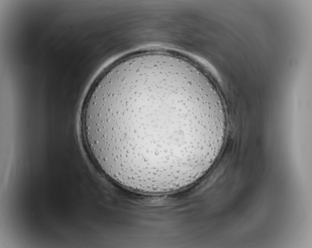 X0000100231279200805300718