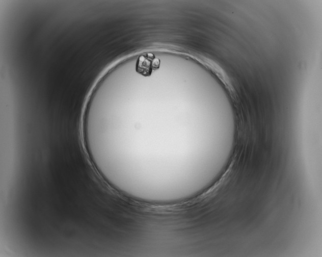 X0000100231280200805300718