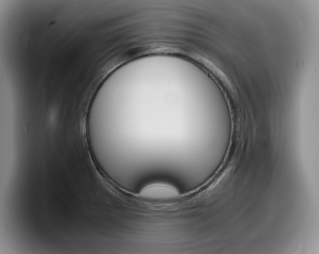 X0000100231281200805300718