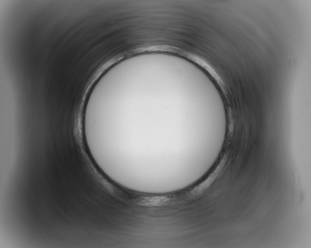 X0000100231282200805300718