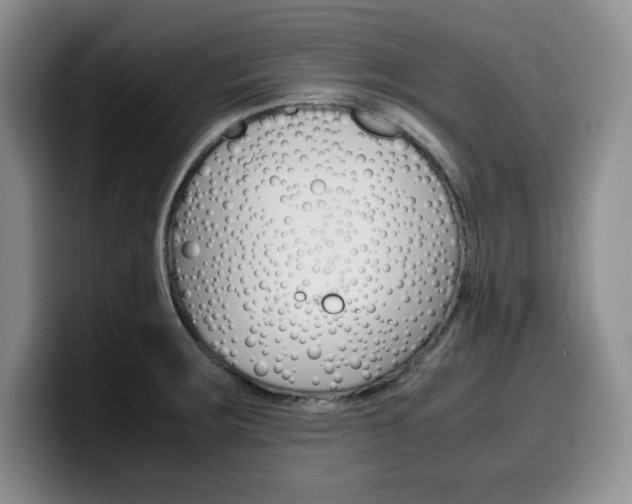 X0000100231283200805300718