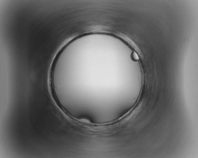 X0000100231285200805300718