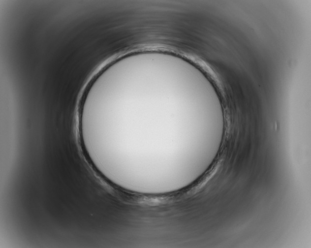 X0000100231286200805300718