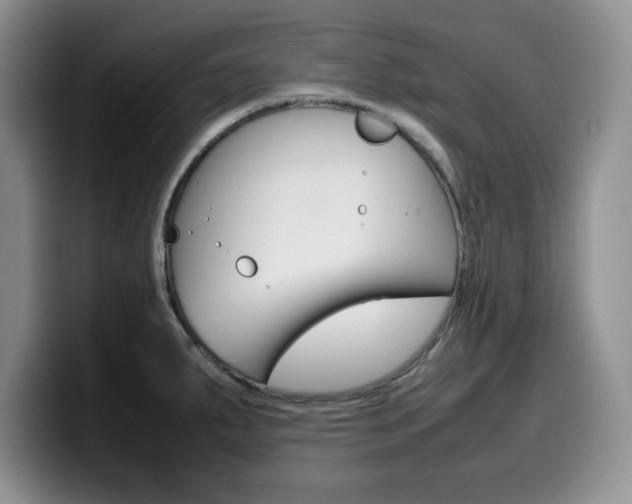 X0000100231287200805300718