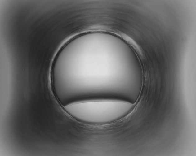 X0000100231288200805300718