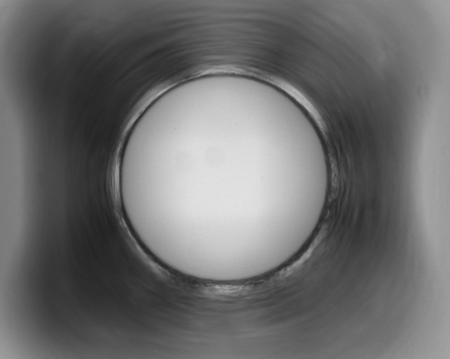 X0000100231290200805300718
