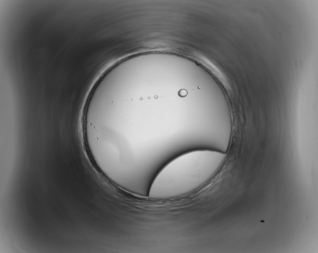 X0000100231291200805300718