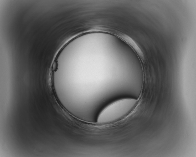 X0000100231292200805300718