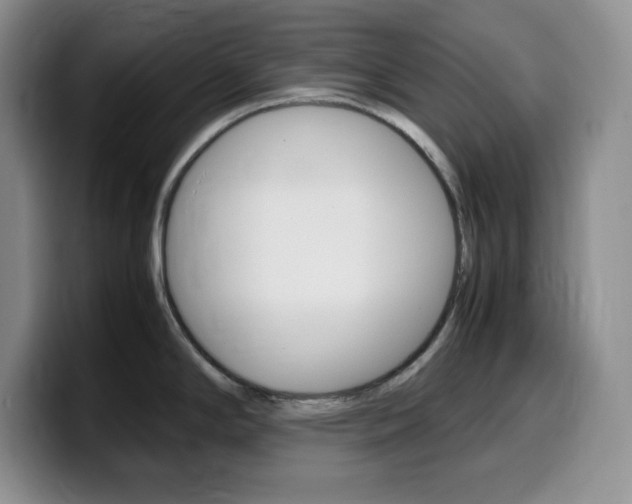 X0000100231294200805300718