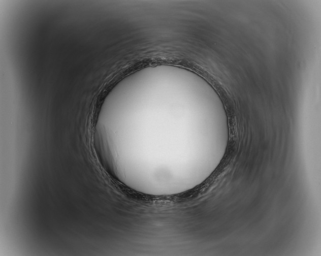 X0000100231297200805300717