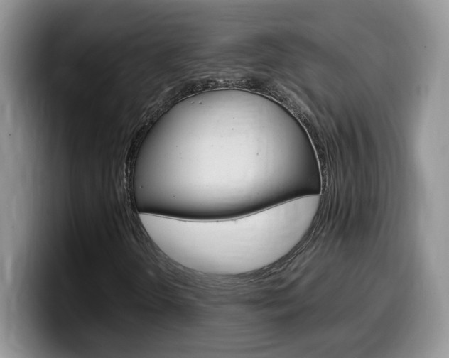 X0000100231298200805300717