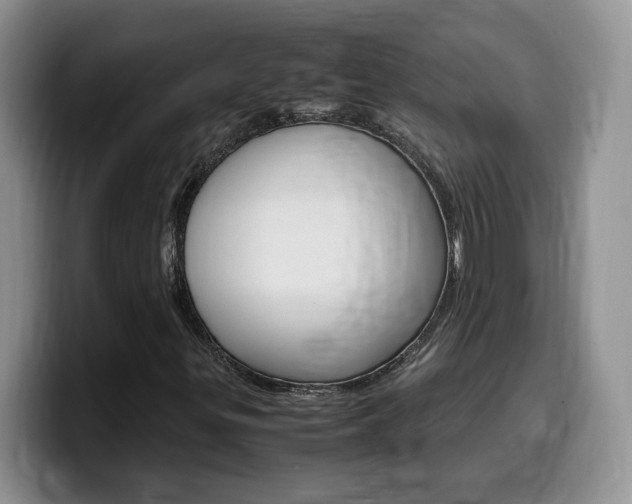 X0000100231299200805300717