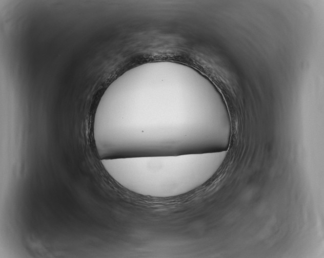 X0000100231300200805300717