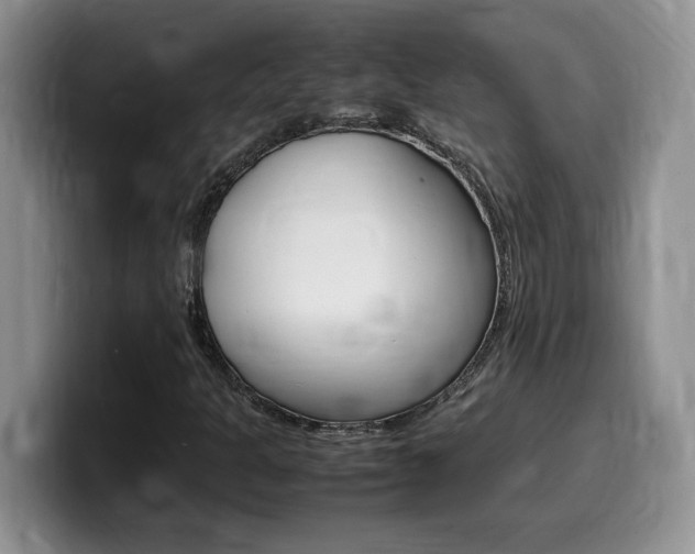 X0000100231301200805300717