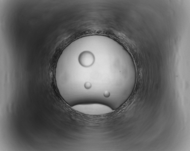 X0000100231302200805300717