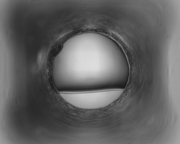 X0000100231303200805300717