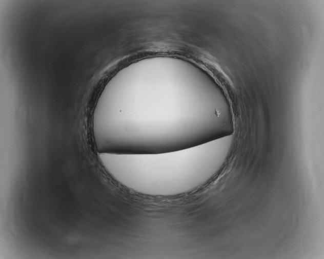 X0000100231304200805300717