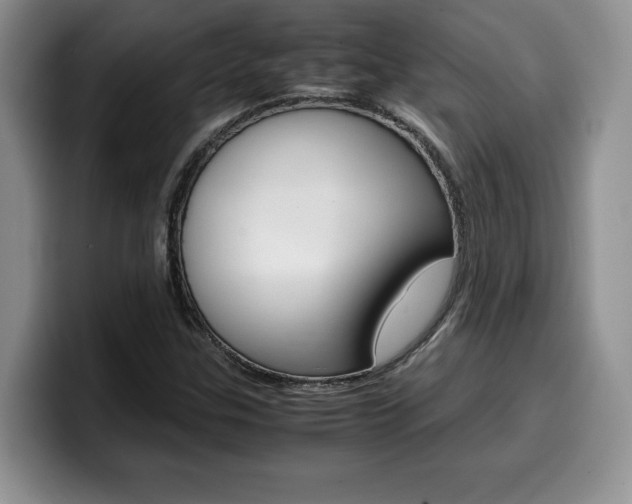 X0000100231307200805300717
