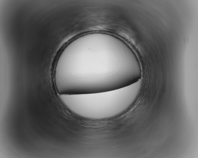 X0000100231308200805300717