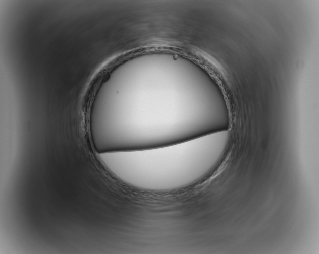 X0000100231310200805300717