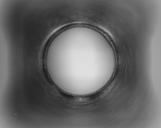 X0000100231311200805300717