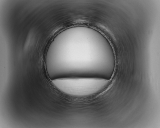 X0000100231313200805300717