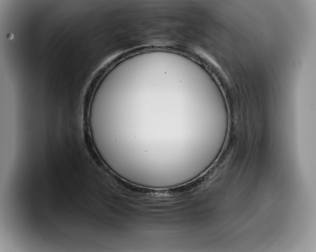X0000100231315200805300717