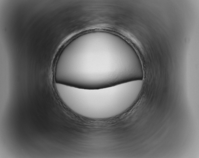 X0000100231316200805300717
