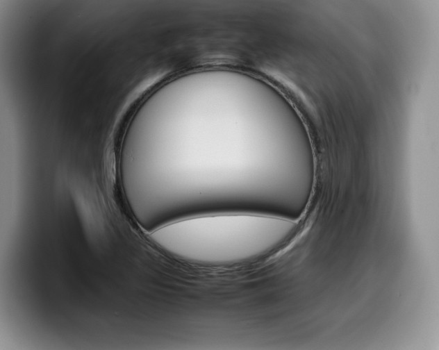 X0000100231317200805300717