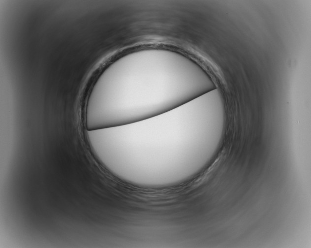 X0000100231318200805300717