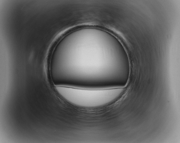 X0000100231319200805300717