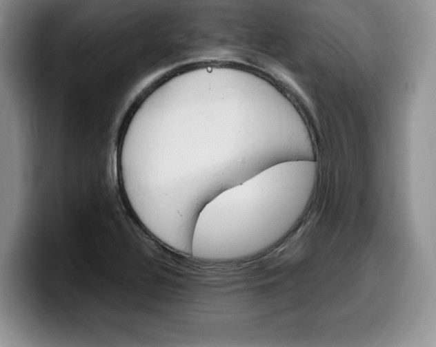 X0000100231320200805300717