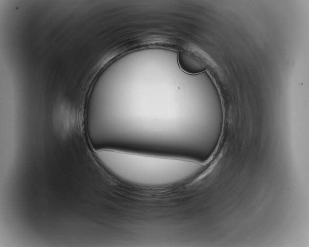 X0000100231321200805300717