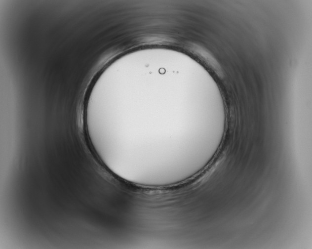 X0000100231322200805300717