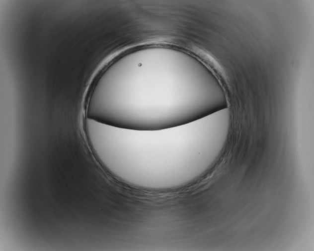 X0000100231324200805300717