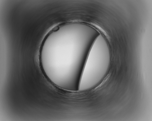 X0000100231325200805300717