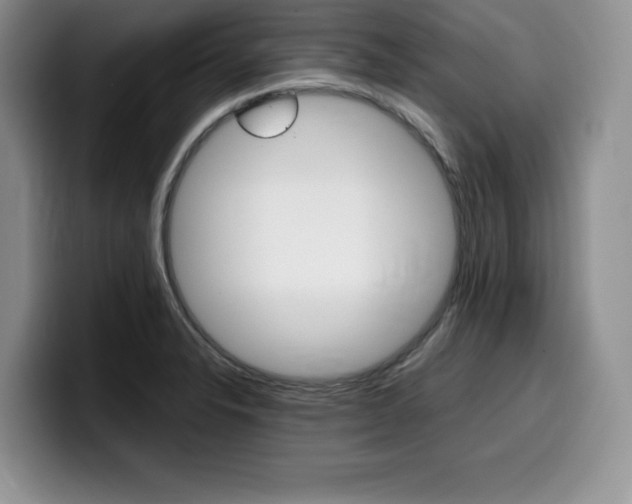 X0000100231326200805300717
