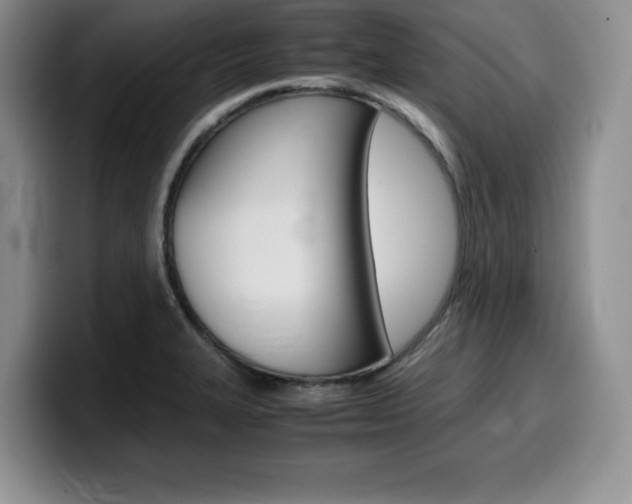 X0000100231327200805300717