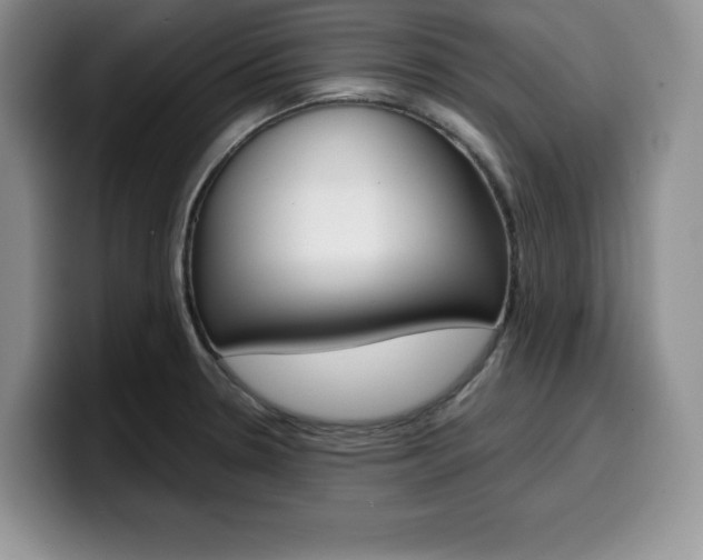 X0000100231330200805300718